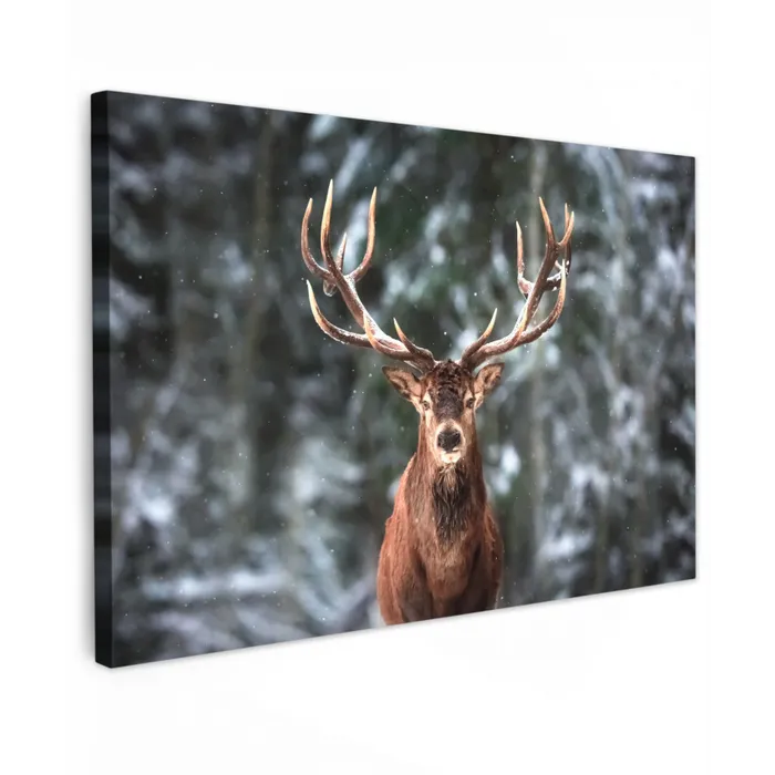 Hert - Winter - Sneeuw - Bos - Natuur - Dier Tuinposter op houten frame 2 cm dik klein -3d