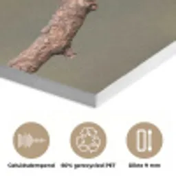 Papagaai - Tak - Natuur - Kleurrijk PET vilt klein -closeup_NL
