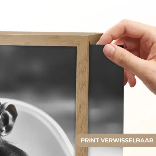 Aap - Spaghetti - Zonnebril - Zwart wit - Cool - Dier Light Box met batterij (Wandlamp) middel -USP_websiteprintNL