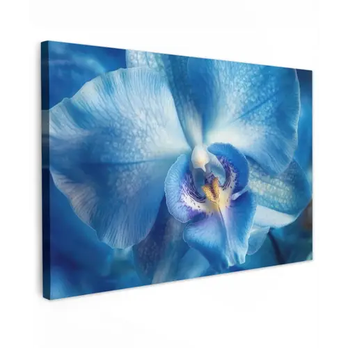Blauw - Orchidee - Elegeant canvas 2cm klein -z3d