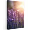 Lavendelbloemen - Paars - Zonlicht Tuinposter op houten frame 2 cm dik klein -3d