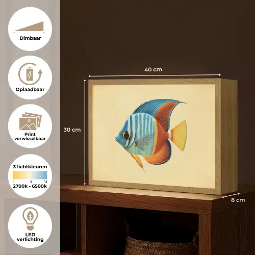 Vis - Vinnen - Blauw - Ogen Light Box met batterij (Wandlamp) middel -USP_websiteoverzichtNL