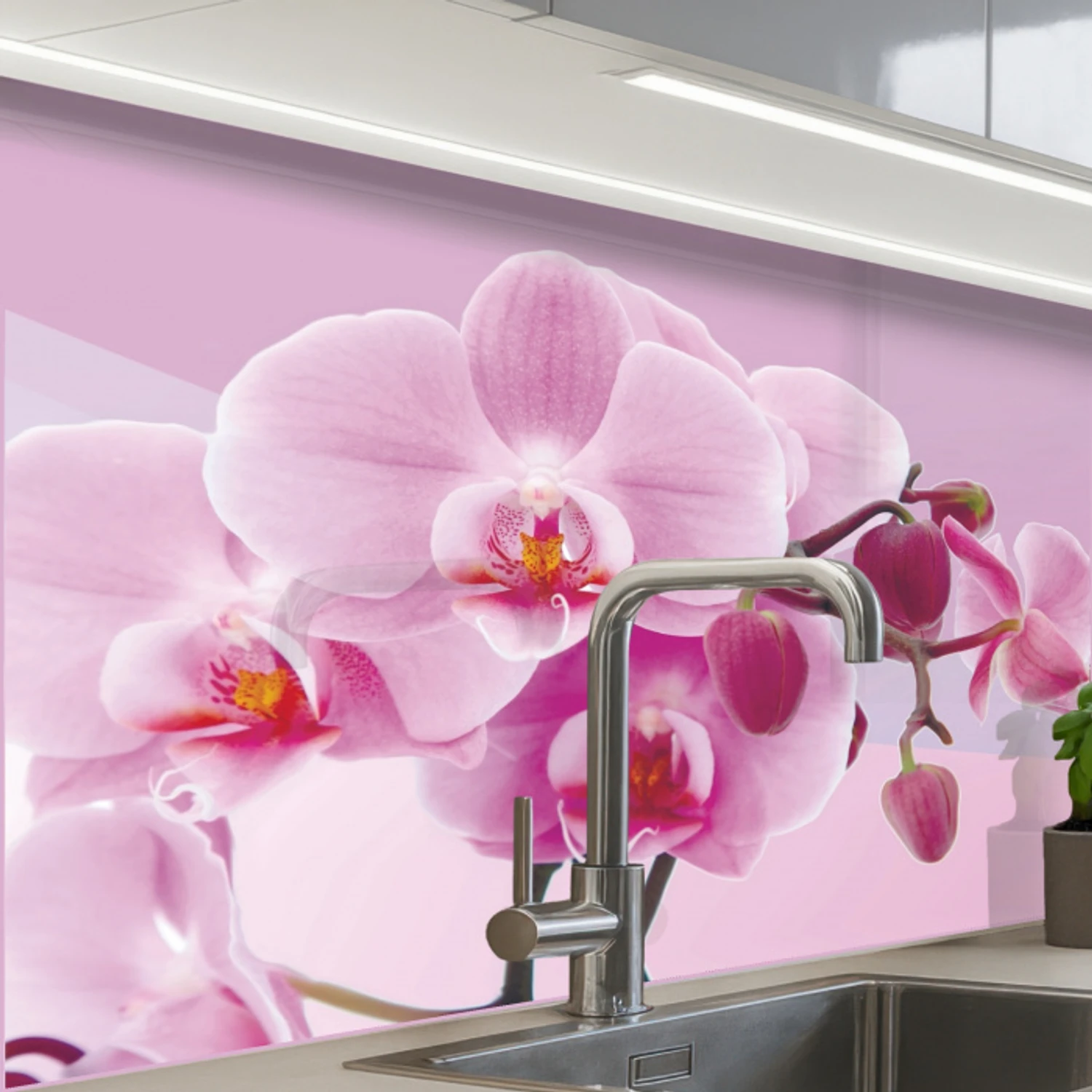 Bloemen - Orchidee - Roze keuken achterwand 2 middel -zzzz3d_schuin