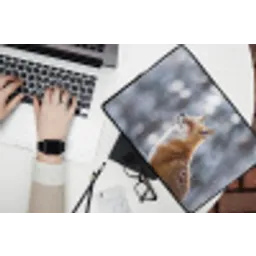 Vos - Sneeuwval - Portret - Winter - Sfeervol laptophoes neopreen klein -bureau