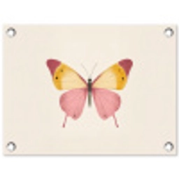 Vlinder - Illustratie - Roze tuinposter los doek klein -3d