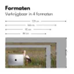 Ooienvaar - Bloemen - Weide - Kleurrijk Muismat XXL klein -sfeer5