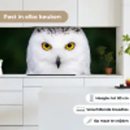 Sneeuwuil - Portret - Geel keuken achterwand 2 middel -sfeer4_NL