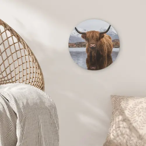 Schotse hooglander - Bruin - Water Akoestische PET Vilt - Rond klein -sfeer4