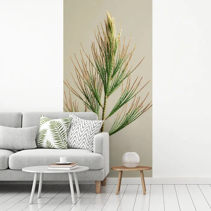 Dennentak - Naaldvormige bladeren - Lichtgroen fotobehang vinyl groot -woonkamer