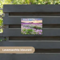 Lavendel - Bloemen - Zonsondergang - Paars - Weide tuinposter los doek klein -sfeer3