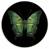 Vlinder - Groen - Diepte Wandcirkel kunststof plaat 5mm dik klein -3d