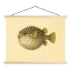 Stekels - Vis - Opgeblazen - Bruin textielposter latten blank klein -3d