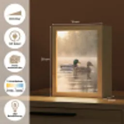 Eenden - Water - Mist - Natuur Light Box met kabel (Kinderlampje) klein -USP_websiteoverzichtDE