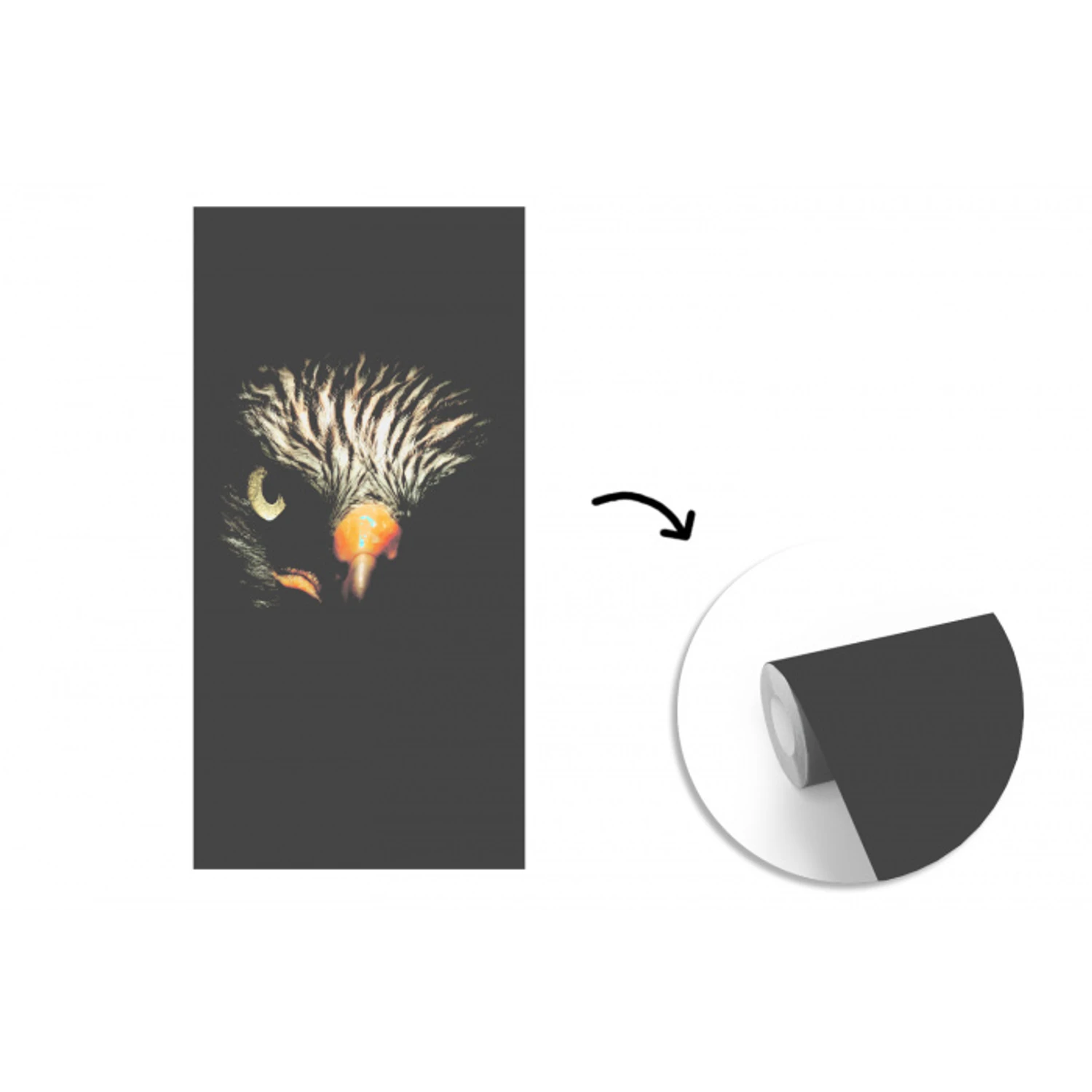 Vogel - Adelaar - Roofvogels - Oog - Snavel - Licht fotobehang vinyl groot -3d