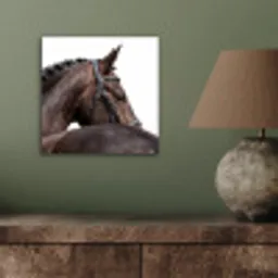 Portret - Paard - Elegant aluminium wit klein -sfeer2