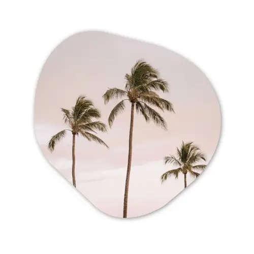 Palmbomen - Zonsondergang - Roze Wandcirkel Organisch Aluminium middel -3d