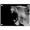 Dieren - Leeuw - Zwart - Wit - Portret tuinposter los doek klein -3d
