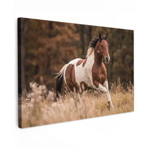 Paard - Bruin - Gras Tuinposter op houten frame 2 cm dik klein -3d