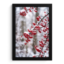 Bessen - Takken - Sneeuw - Winter - Kleurrijk fotolijst zwart zonder passe partout klein -3d