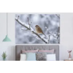 Vogel - Tak - Sneeuw - Winter forex 5mm xxl -slaapkamer