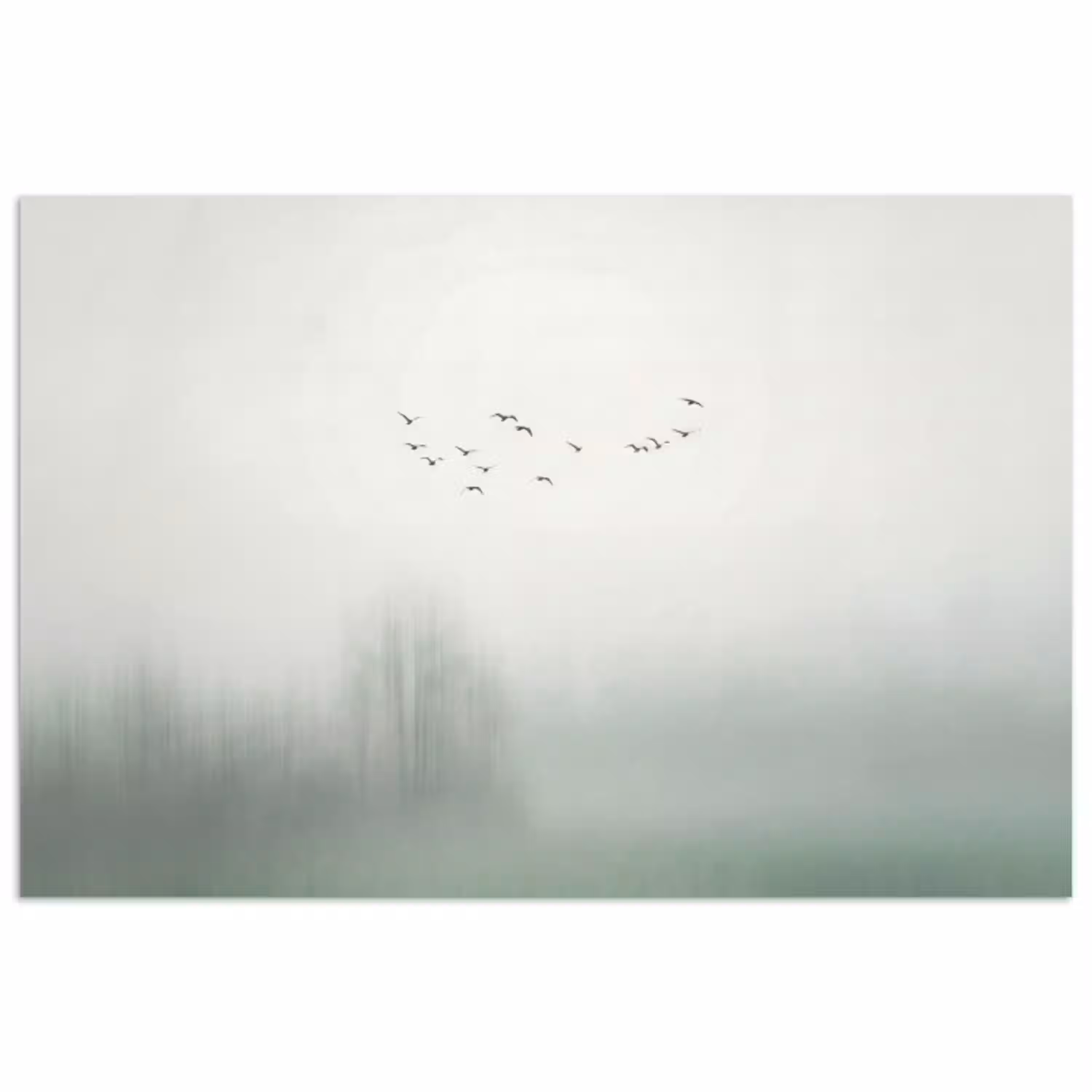 Vogel - Vlucht - Natuur - Minimalistisch poster papier klein -3d