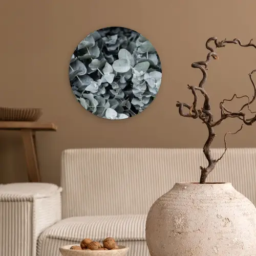Natuur - Planten - Eucalyptus - Bladeren Wandcirkel kunststof plaat 5mm dik klein -sfeer1