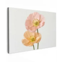 Papavers - Botanisch - Roze canvas 2cm klein -z3d