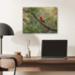 Ara - Jungle - Rood PET vilt klein -sfeer5
