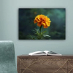 Bloemblaadjes - Afrikaan - Oranje - Wazig canvas 2cm klein -sfeer4