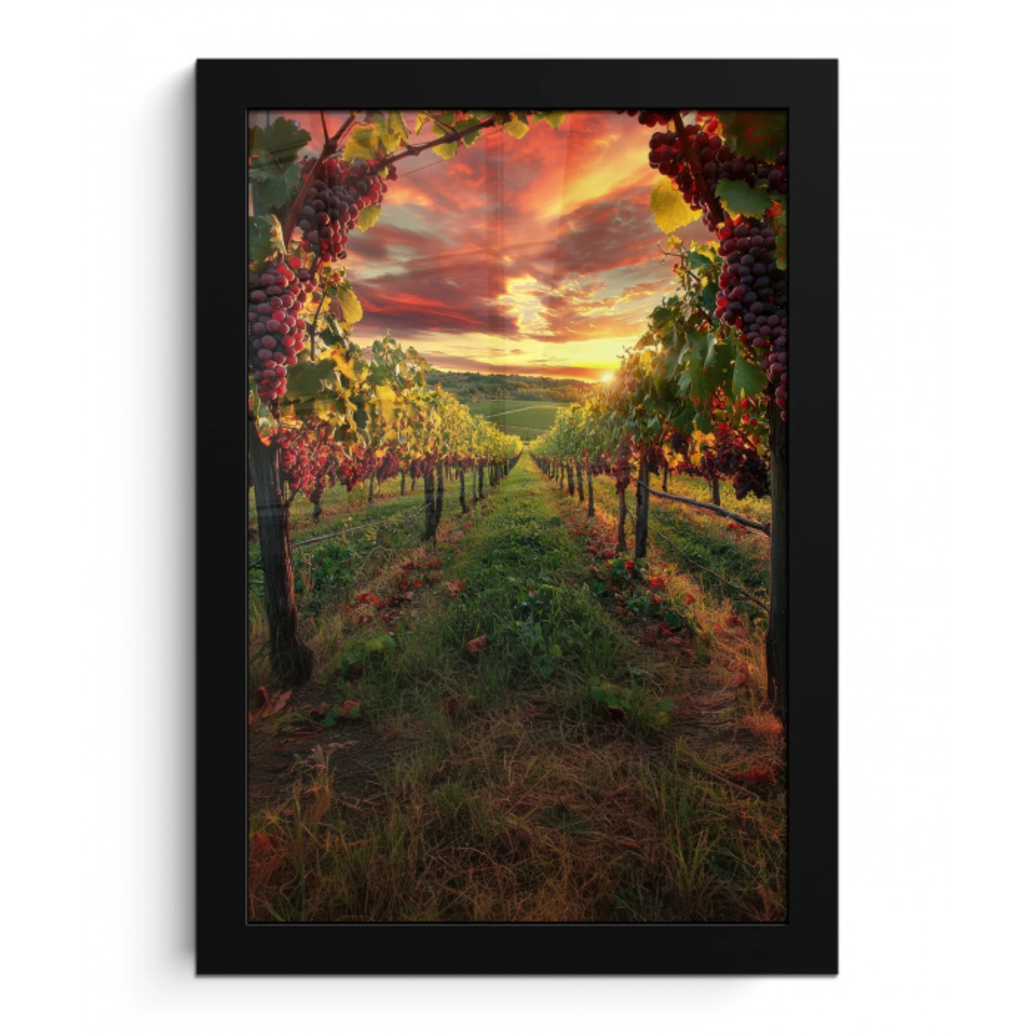 Wijngaard - Druiven - Zonsondergang fotolijst zwart zonder passe partout klein -3d