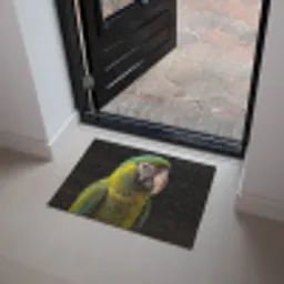 Ara - Portret - Groen Deurmat klein -sfeer5