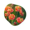 Bloemenveld - Zonnestralen - Oranje Wandcirkel Organisch Aluminium middel -3d