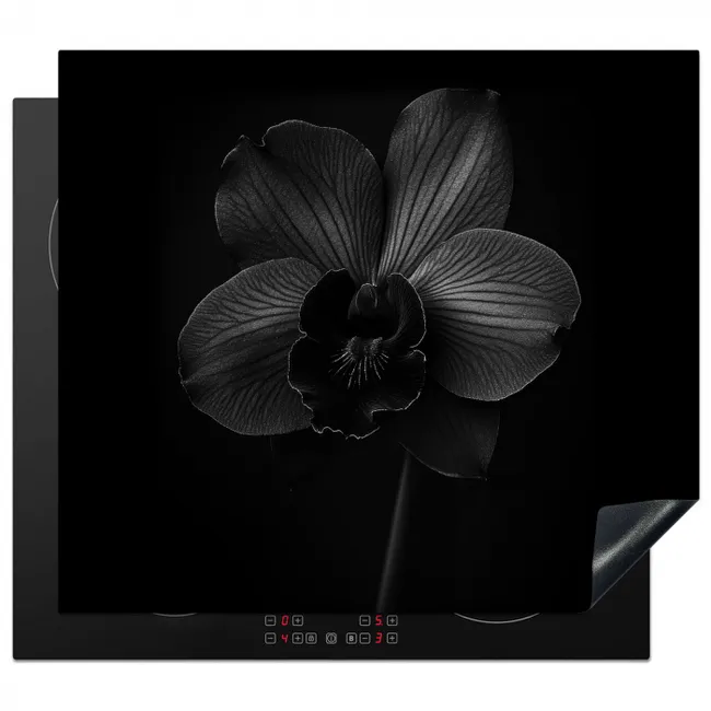 Inductie beschermer - Zwart - Bloem - Orchidee