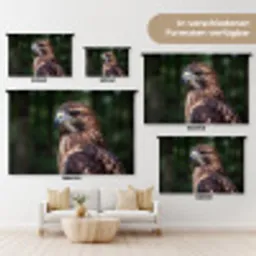 Buizerd - Roofvogel - Natuur - Bruin Wandkleed katoen klein -tsfeer8_DE