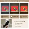 Kikker - Kleurrijk - Strepen - Ogen Light Box met batterij (Wandlamp) middel -USP_lichtkleurNL