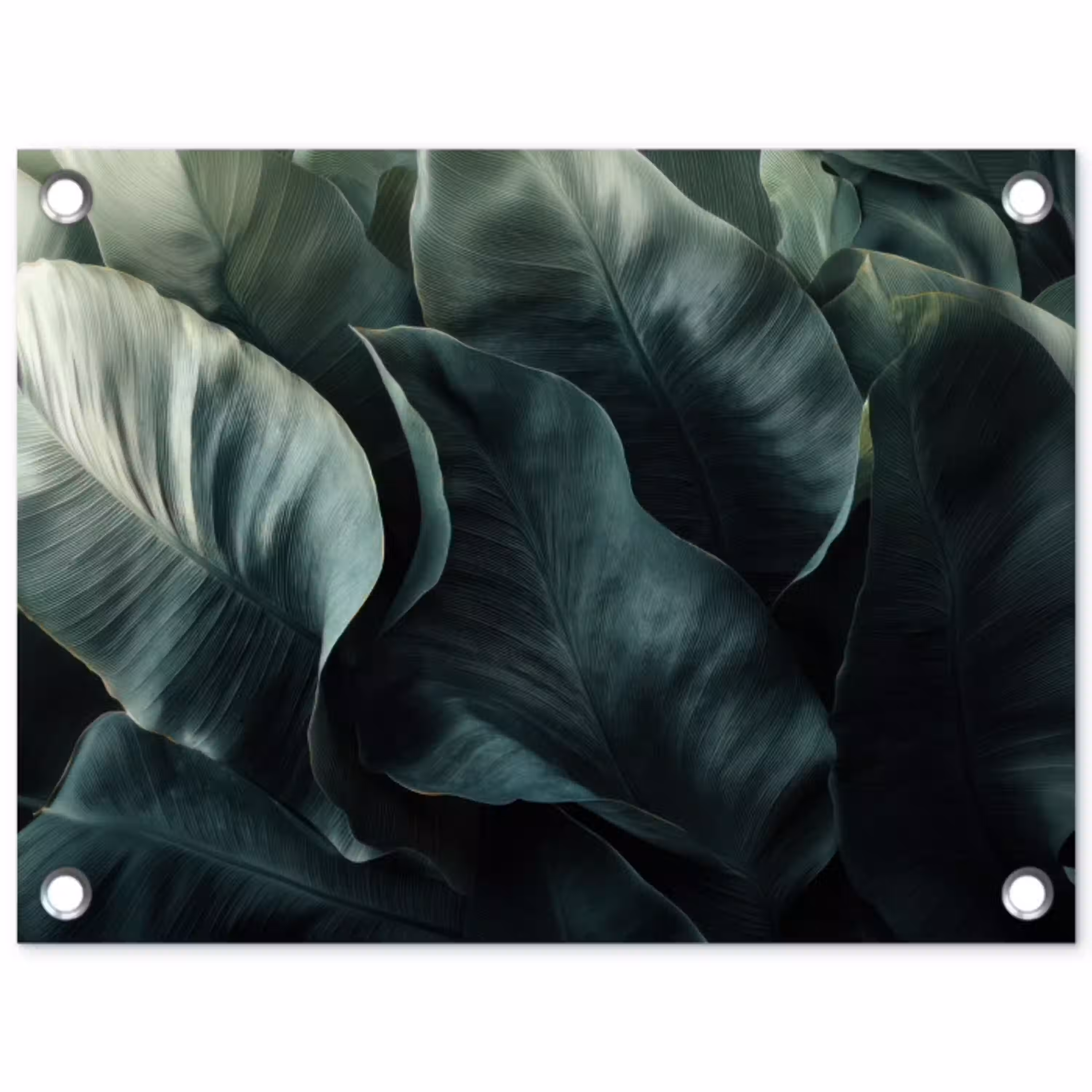 Groen - Bladeren - Glad - Nerven tuinposter los doek klein -3d