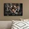 Tijger - Dieren - Portret - Luxe - Zwart canvas 2cm klein -sfeer3