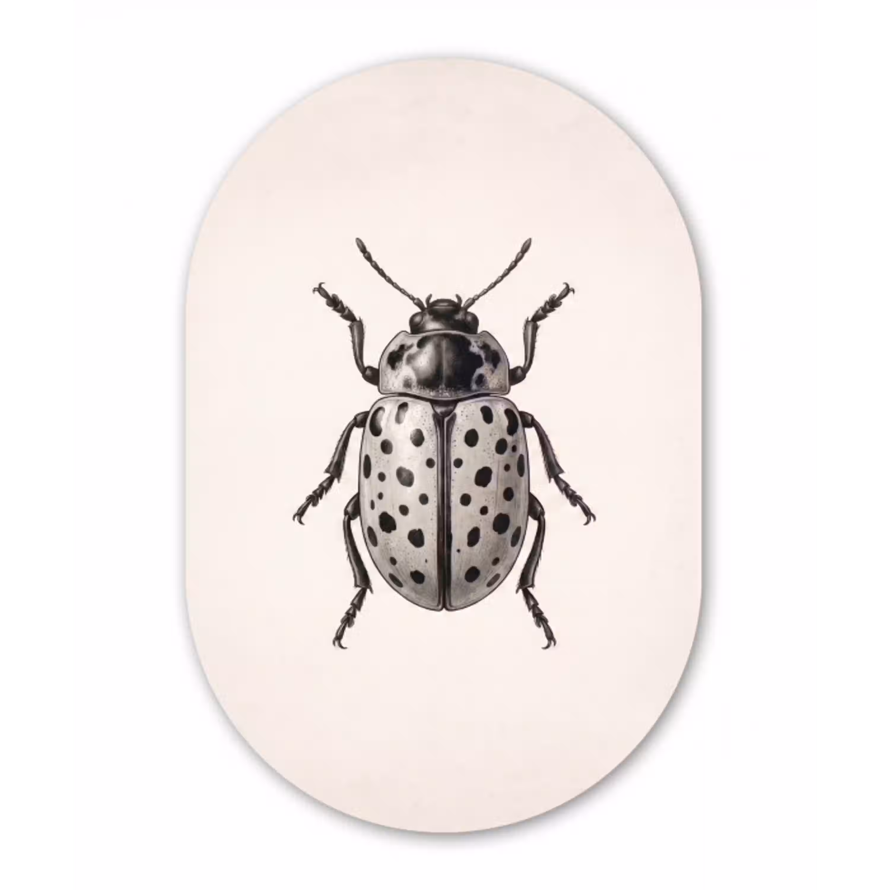 Kever - Insect - Vintage Wandcirkel Ovaal Aluminium middel -3d