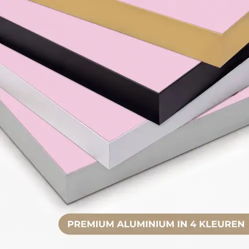 Hart - Frans - Valentijn - Roze Textielframe zwart klein -USP_kleurenNL