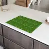 Groen - Vogels - Vleugels Inductie beschermer vinyl 3mm klein 276 -sfeer8