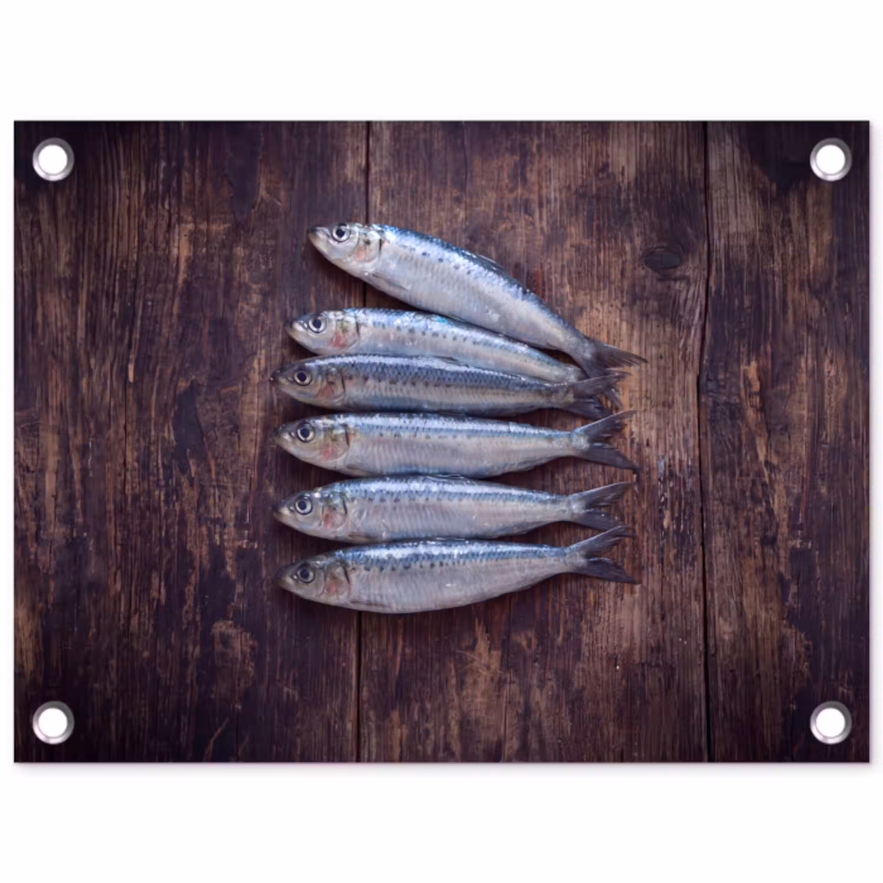 Vis - Hout - Eten tuinposter los doek klein -3d