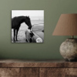 Paard - Auto - Zwart - Wit aluminium wit klein -sfeer2
