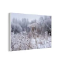 Schermbloem - Rijp - Kristallen - Winter - Delicaat forex 5mm xxl -3d