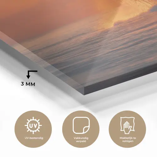 Walvis - Zon - Zee plexiglas 5mm klein -sfeer2