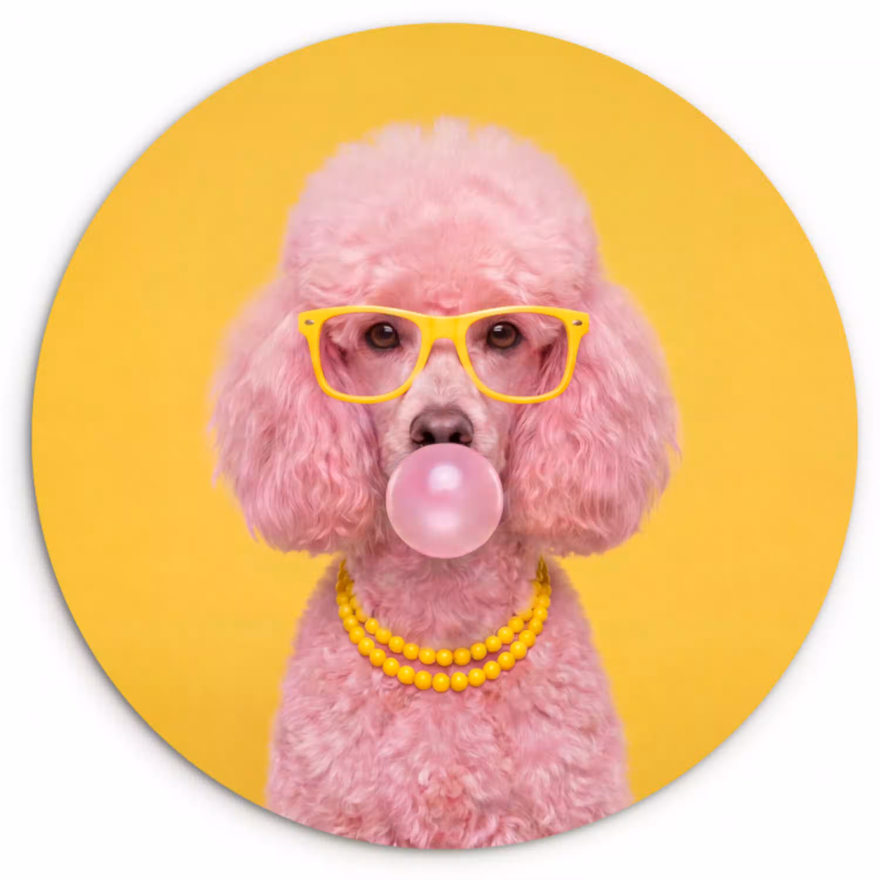 Hond - Kauwgum - Dieren - Modern - Roze Wandcirkel kunststof plaat 5mm dik klein -3d