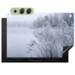 Riet - Bevroren - Winter - Natuur Inductie beschemer met haakjes klein -3d