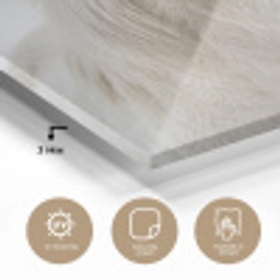 Paard - Kop - Winter - Dieren - Wit plexiglas 5mm klein -sfeer2