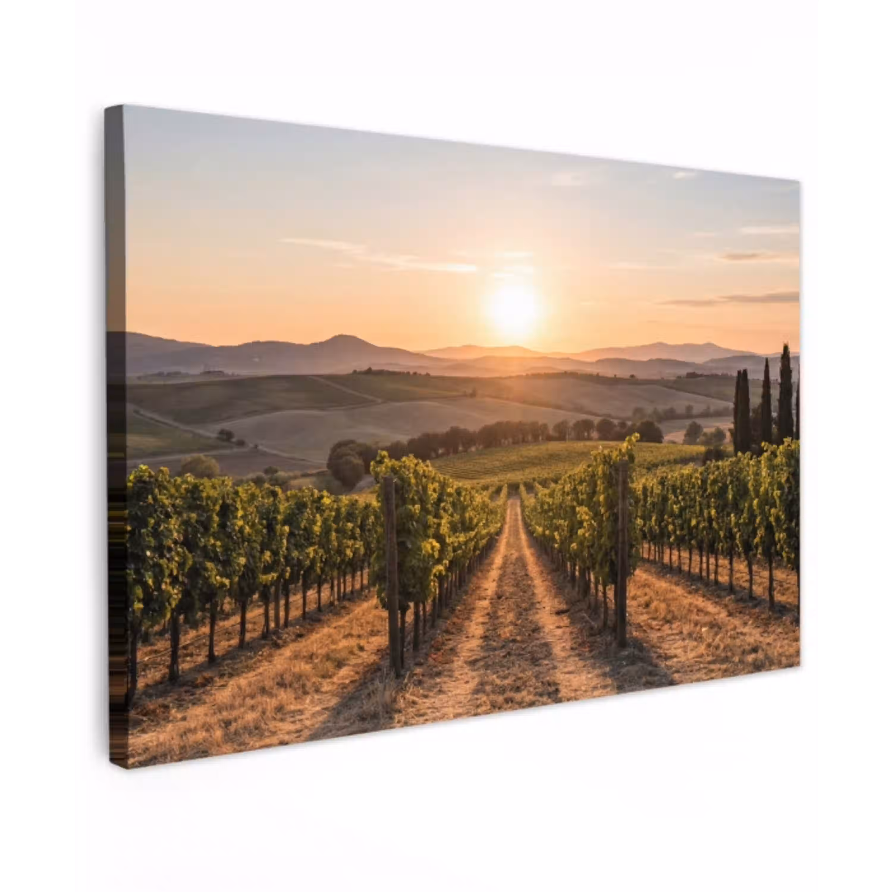 Wijngaard - Zonsondergang - Landschap canvas 2cm klein -z3d