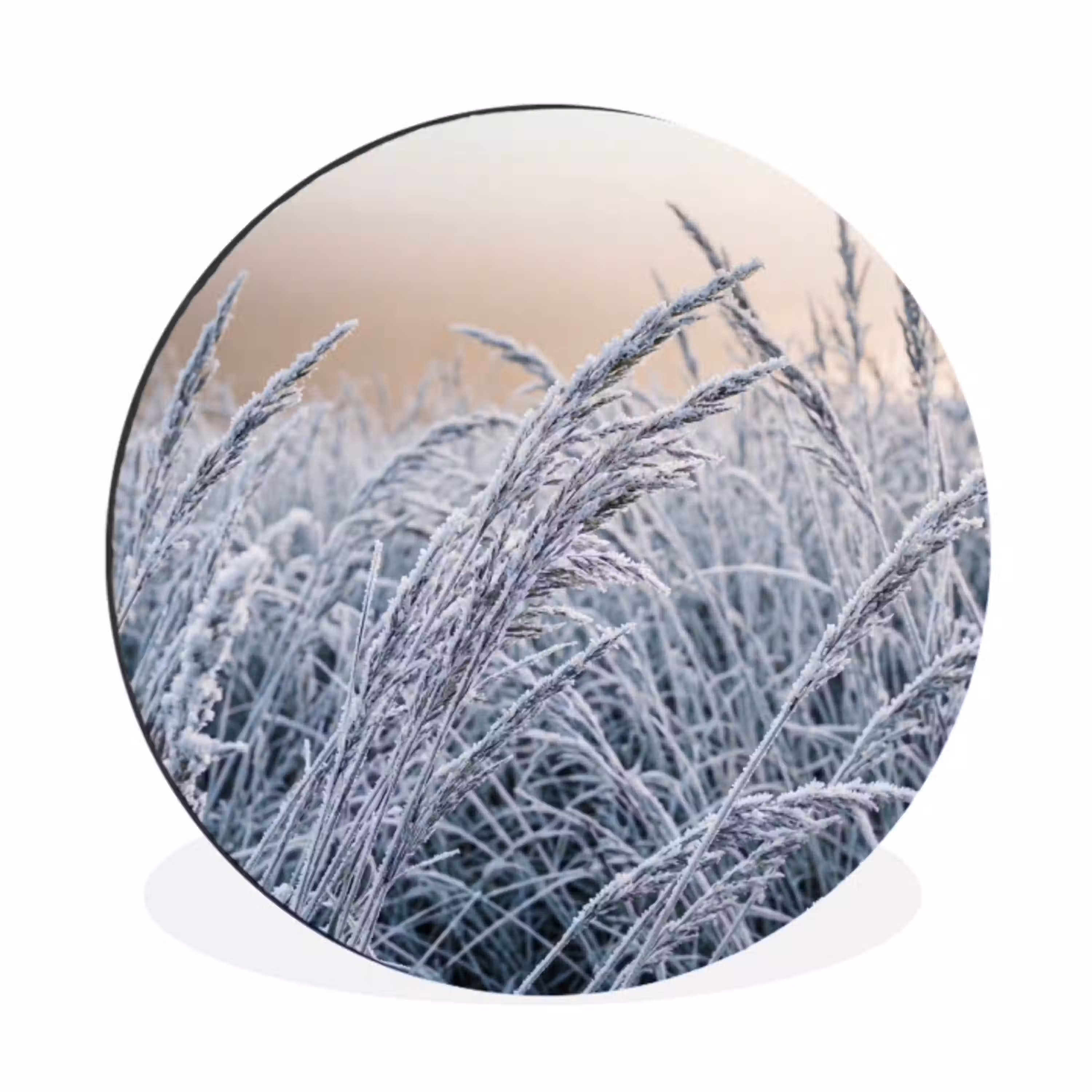 Rijp - Gras - Kristallen - Winter - Minimalistisch Wandcirkel aluminium klein -3d