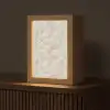 Lijnen - Waaier - Beige Light Box met kabel (Tafellamp) klein 925 -z3d_website
